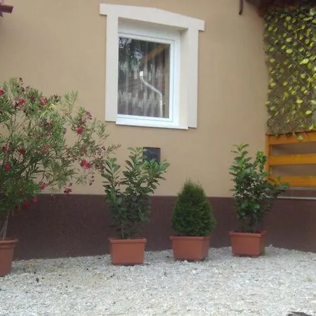 Rózsika * Bogács