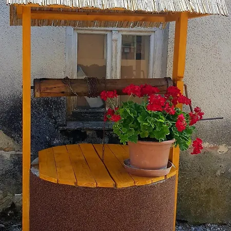 Casa de hóspedes Rózsika *