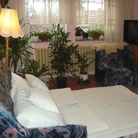 Rozsika Vendeghaz *